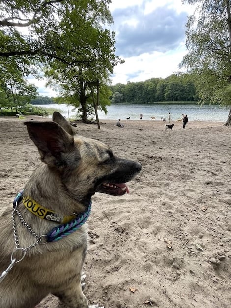 Фото Berlin Grunewald